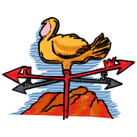 Domestic Turkey Animals