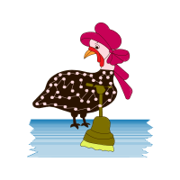 Domestic Turkey Animals