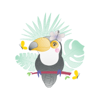 Domestic Turkey Animals