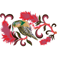 Domestic Turkey Animals