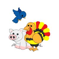 Domestic Turkey Animals