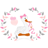 Domestic Turkey Animals