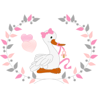 Domestic Turkey Animals