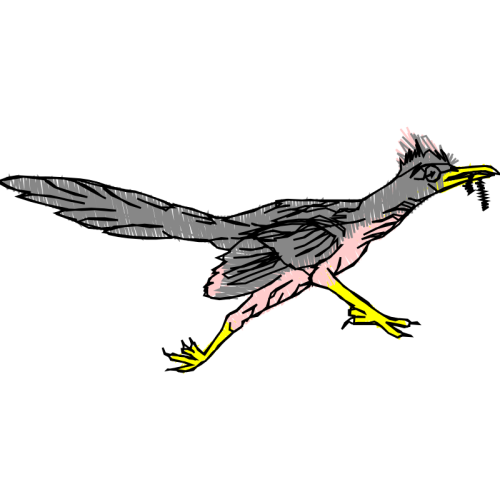 Double Crested Cormorant Animals Double Crested Cormorant Animals