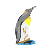 Double Crested Cormorant Animals