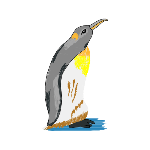 Double Crested Cormorant Animals