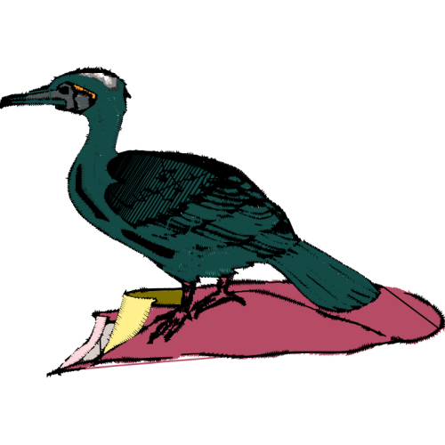 Double Crested Cormorant Animals Double Crested Cormorant Animals