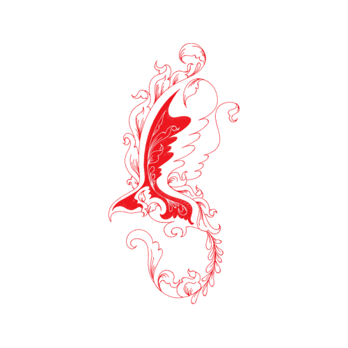 Drawing Animals Drawing Animals