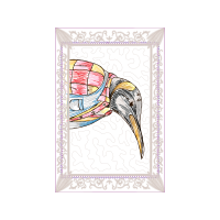 Drawing Animals Drawing Animals