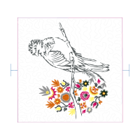 Drawing Animals Drawing Animals