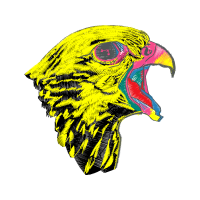 Drawing Animals Drawing Animals