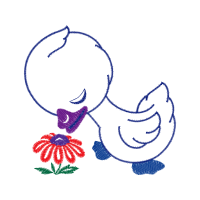 Drawing Animals Drawing Animals