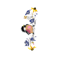 Drawing Animals Drawing Animals