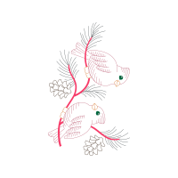 Drawing Animals Drawing Animals