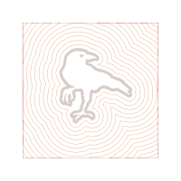 Drawing Animals Drawing Animals