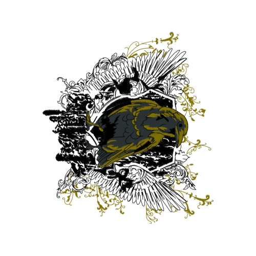 Drawing Animals Drawing Animals