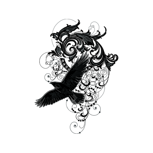 Drawing Animals Drawing Animals