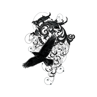 Drawing Animals Drawing Animals