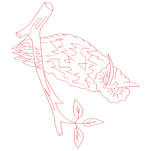 Drawing Animals Drawing Animals