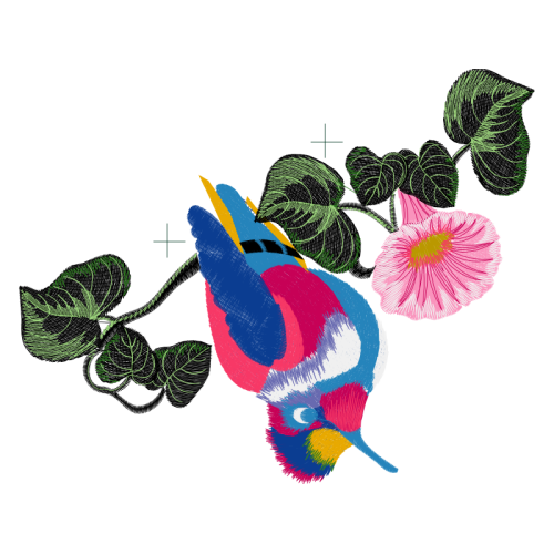 Drawing Animals Drawing Animals