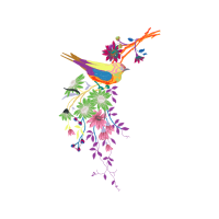 Drawing Animals Drawing Animals