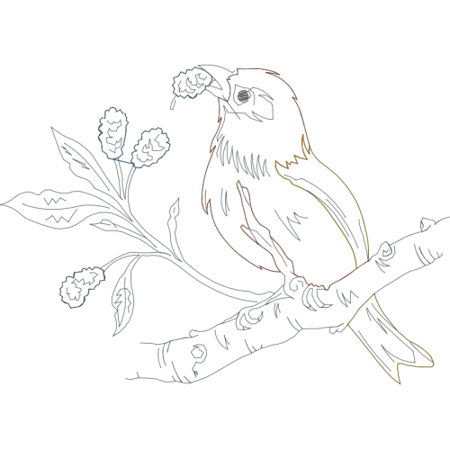 Drawing Animals Drawing Animals