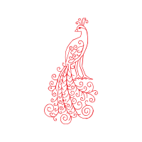 Drawing Animals Drawing Animals