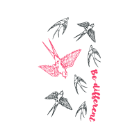 Drawing Animals Drawing Animals