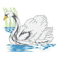 Drawing Animals Drawing Animals