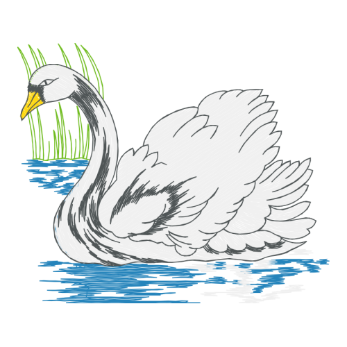 Drawing Animals Drawing Animals