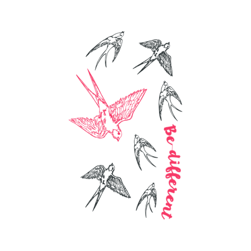 Drawing Animals Drawing Animals