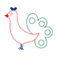 Drawing Animals Drawing Animals