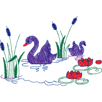 Drawing Animals Drawing Animals