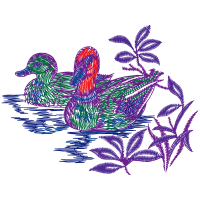 Drawing Animals Drawing Animals