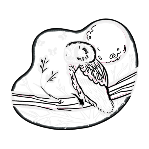 Drawing Animals Drawing Animals