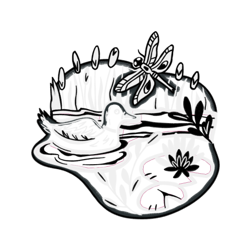 Drawing Animals Drawing Animals