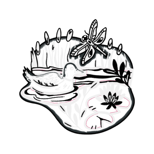 Drawing Animals Drawing Animals