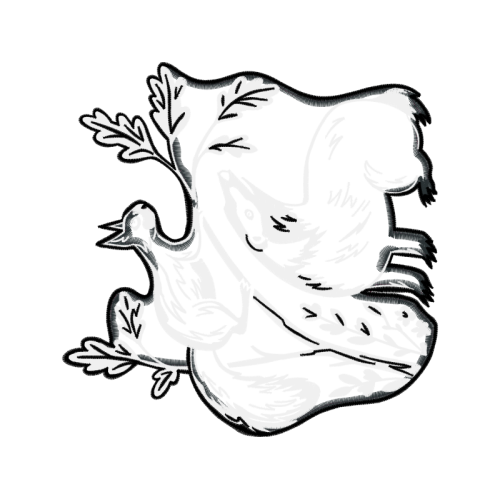 Drawing Animals Drawing Animals