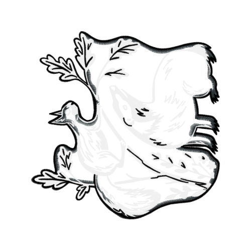 Drawing Animals Drawing Animals