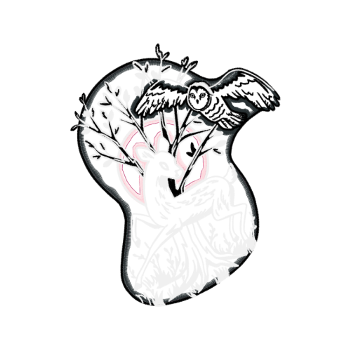 Drawing Animals Drawing Animals