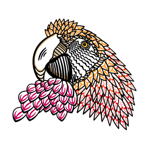 Drawing Animals Drawing Animals