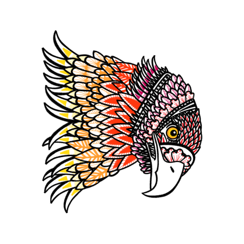 Drawing Animals Drawing Animals