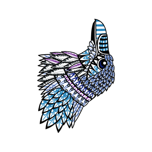 Drawing Animals Drawing Animals