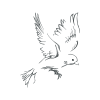 Drawing Animals Drawing Animals