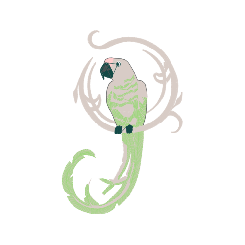 Drawing Animals Drawing Animals