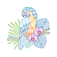 Drawing Animals Drawing Animals