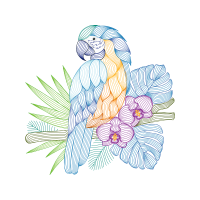 Drawing Animals Drawing Animals