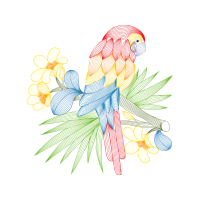 Drawing Animals Drawing Animals