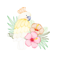 Drawing Animals Drawing Animals