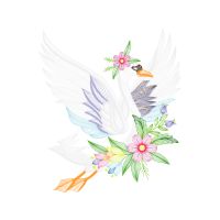 Drawing Animals Drawing Animals